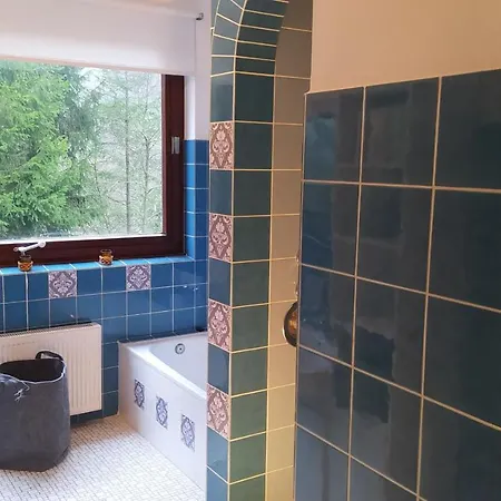 Apartment Ferienwohnung Waldlounge Winterberg